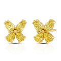 Fancy Yellow Butterfly Earrings