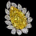 The Enchantment Of Yellows Fancy Vivid Yellow