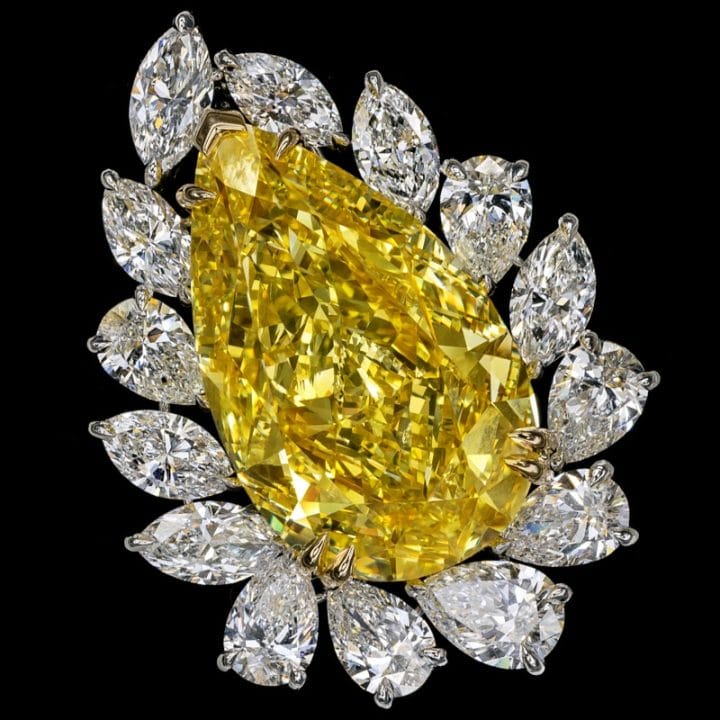 The Enchantment Of Yellows Fancy Vivid Yellow